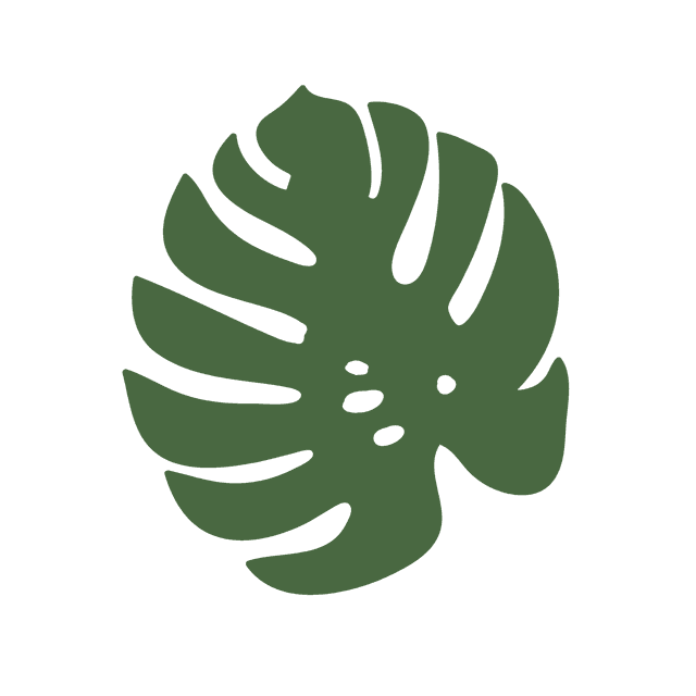 Monstera leaf